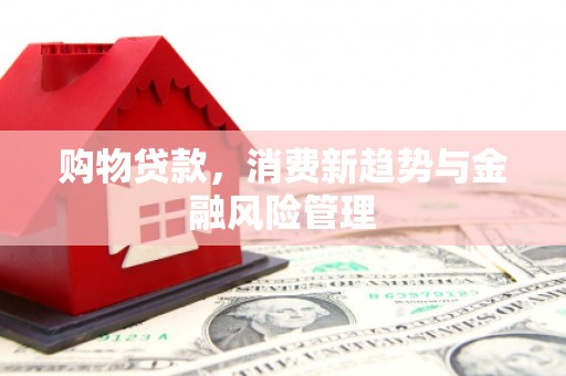 香港购物贷款，消费新趋势与金融风险管理