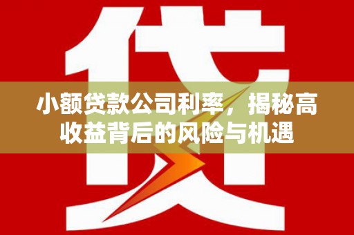 香港小额贷款公司利率，揭秘高收益背后的风险与机遇