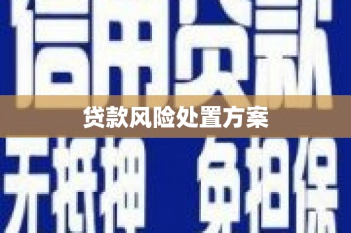 香港贷款风险处置方案