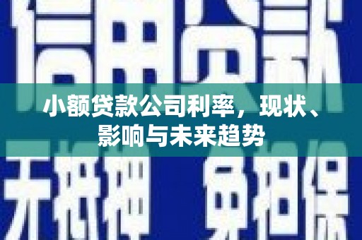 香港小额贷款公司利率，现状、影响与未来趋势