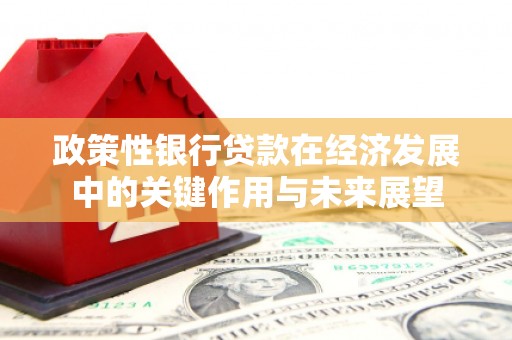 香港政策性银行贷款在经济发展中的关键作用与未来展望