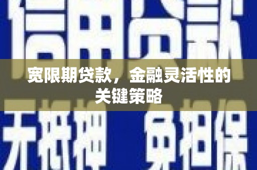香港宽限期贷款，金融灵活性的关键策略