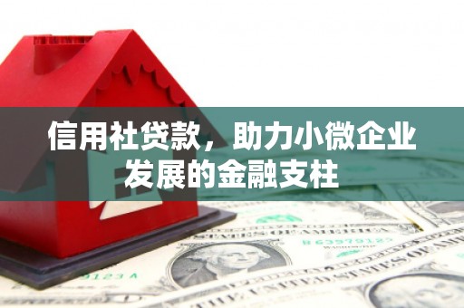 香港信用社贷款，助力小微企业发展的金融支柱