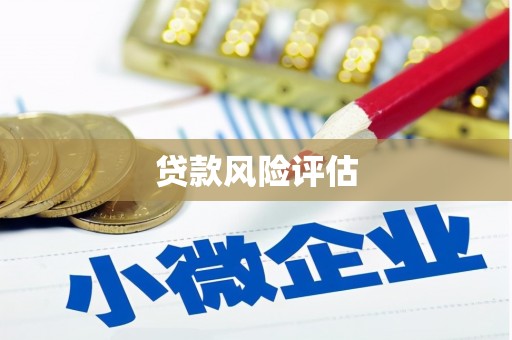香港贷款风险评估