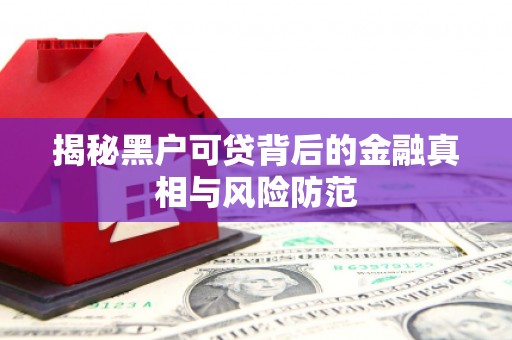 香港揭秘黑户可贷背后的金融真相与风险防范