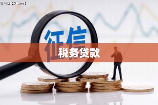 香港税务贷款