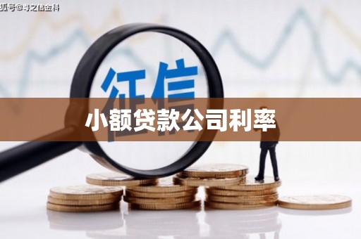 香港小额贷款公司利率