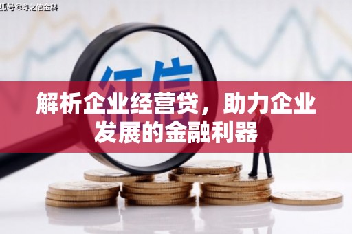 香港解析企业经营贷，助力企业发展的金融利器
