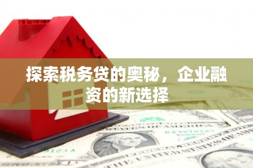香港探索税务贷的奥秘，企业融资的新选择
