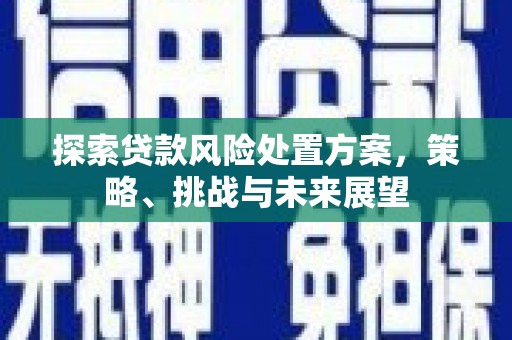 香港探索贷款风险处置方案，策略、挑战与未来展望