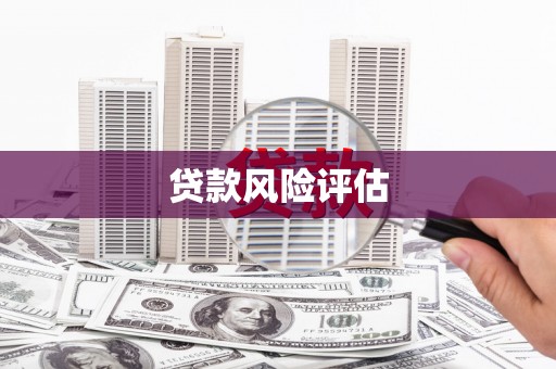 香港贷款风险评估