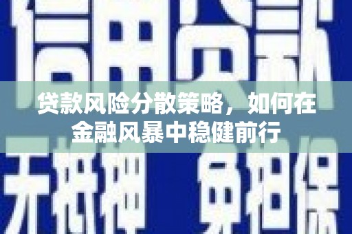 香港贷款风险分散策略，如何在金融风暴中稳健前行