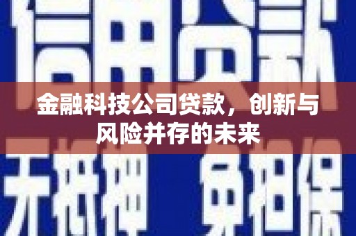 香港金融科技公司贷款，创新与风险并存的未来