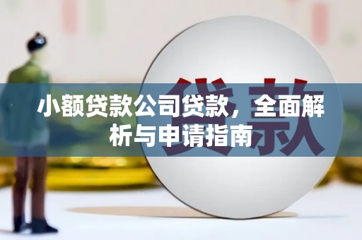 香港小额贷款公司贷款，全面解析与申请指南