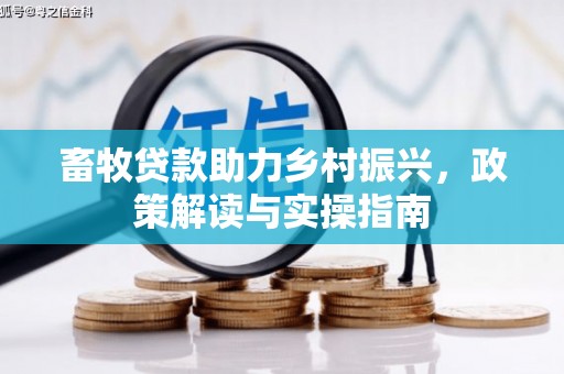 香港畜牧贷款助力乡村振兴，政策解读与实操指南