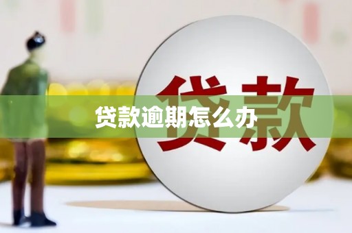 香港贷款逾期怎么办