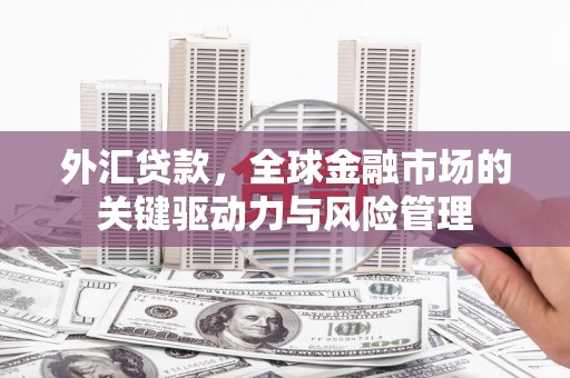 香港外汇贷款，全球金融市场的关键驱动力与风险管理