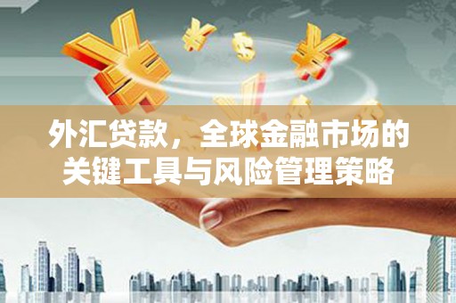 香港外汇贷款，全球金融市场的关键工具与风险管理策略
