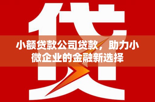 香港小额贷款公司贷款，助力小微企业的金融新选择