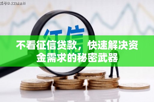 香港不看征信贷款，快速解决资金需求的秘密武器