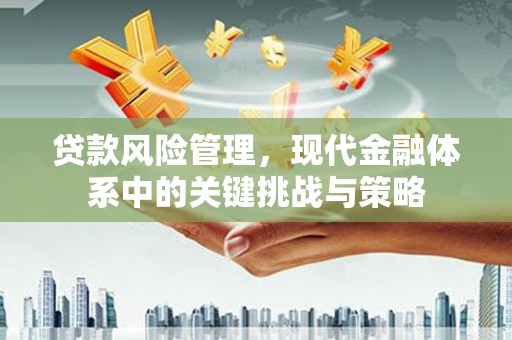 香港贷款风险管理，现代金融体系中的关键挑战与策略
