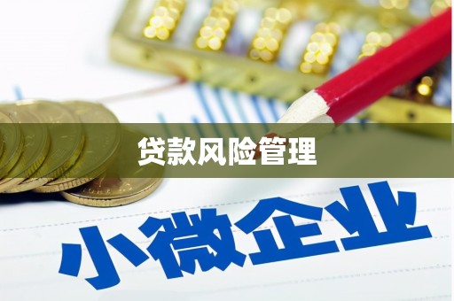 香港贷款风险管理
