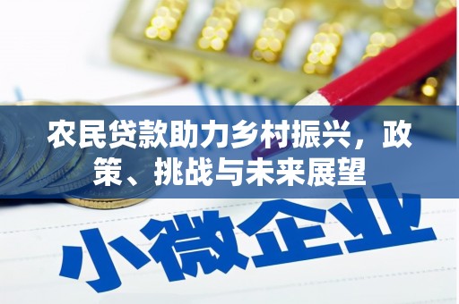 香港农民贷款助力乡村振兴，政策、挑战与未来展望