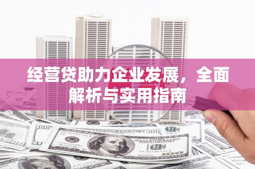 香港经营贷助力企业发展，全面解析与实用指南