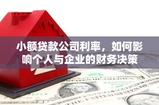 香港小额贷款公司利率，如何影响个人与企业的财务决策