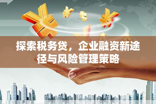 香港探索税务贷，企业融资新途径与风险管理策略