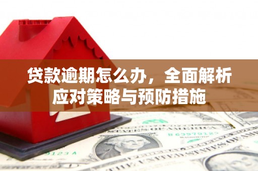 香港贷款逾期怎么办，全面解析应对策略与预防措施
