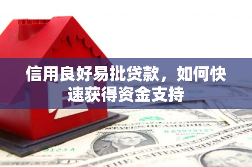 香港信用良好易批贷款，如何快速获得资金支持