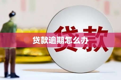 香港贷款逾期怎么办