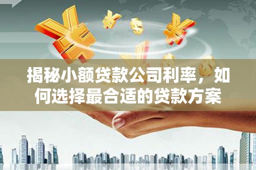 香港揭秘小额贷款公司利率，如何选择最合适的贷款方案