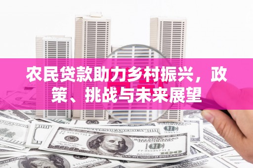 香港农民贷款助力乡村振兴，政策、挑战与未来展望