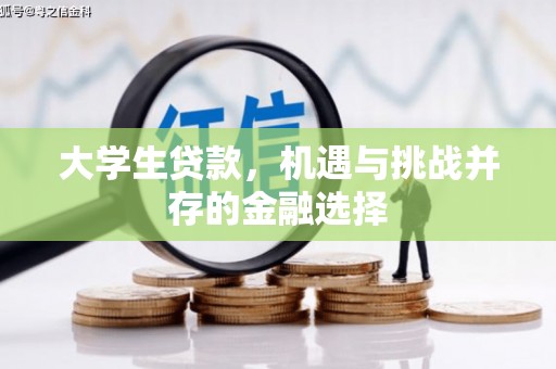 香港大学生贷款，机遇与挑战并存的金融选择