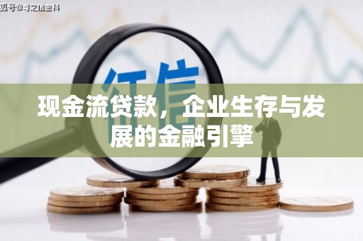 香港现金流贷款，企业生存与发展的金融引擎