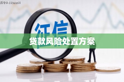 香港贷款风险处置方案