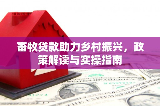 香港畜牧贷款助力乡村振兴，政策解读与实操指南