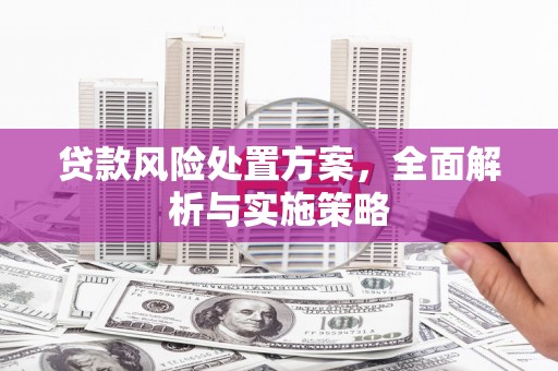 香港贷款风险处置方案，全面解析与实施策略