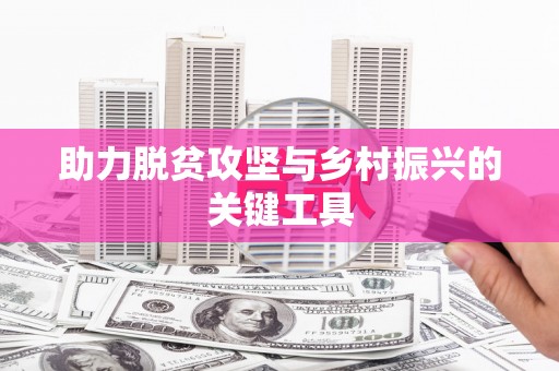 香港助力脱贫攻坚与乡村振兴的关键工具
