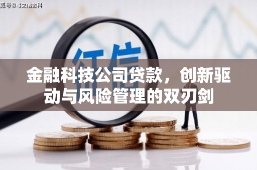 香港金融科技公司贷款，创新驱动与风险管理的双刃剑